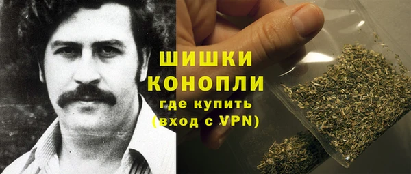 ПСИЛОЦИБИНОВЫЕ ГРИБЫ Снежногорск