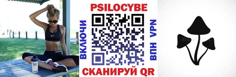 Купить где  Усть-Катав  Галлюциногенные грибы Cubensis 